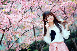 Sakura season meets you