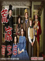 荒凉百宝店（电视剧）[2011]