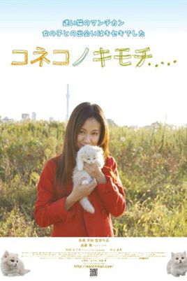 小猫的感觉