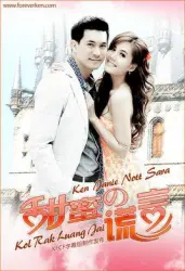 甜蜜的谎言（电视剧）[2011]