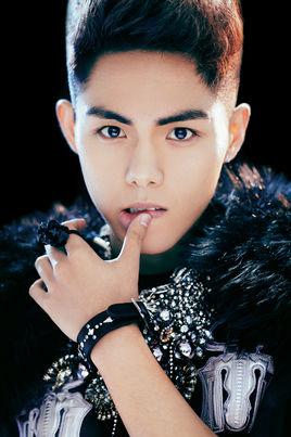 2014 主演: 裘恩典孙子涵欧宇宁金瀚韩雪薇晶东王祉萱雷牧张沐莀王森